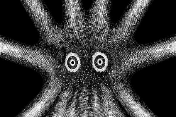 Kraken настоящая ссылка