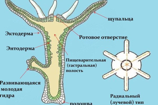 Kraken ссылка tor официальный сайт