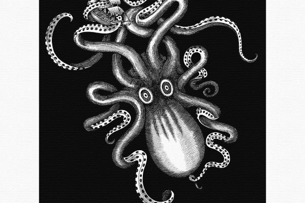 Kraken 13 at com